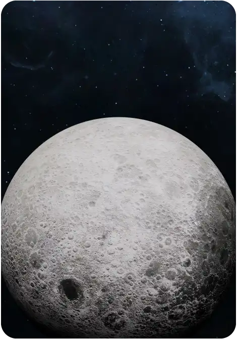 Custom AI Software Development